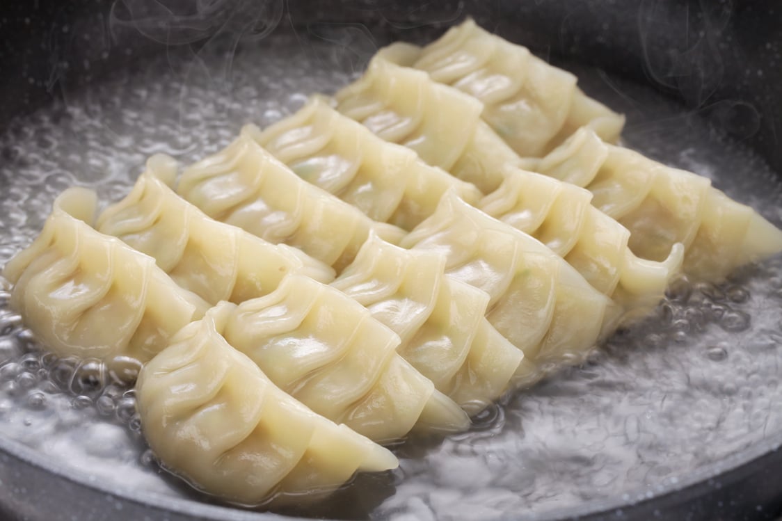 cooking gyoza dumplings,